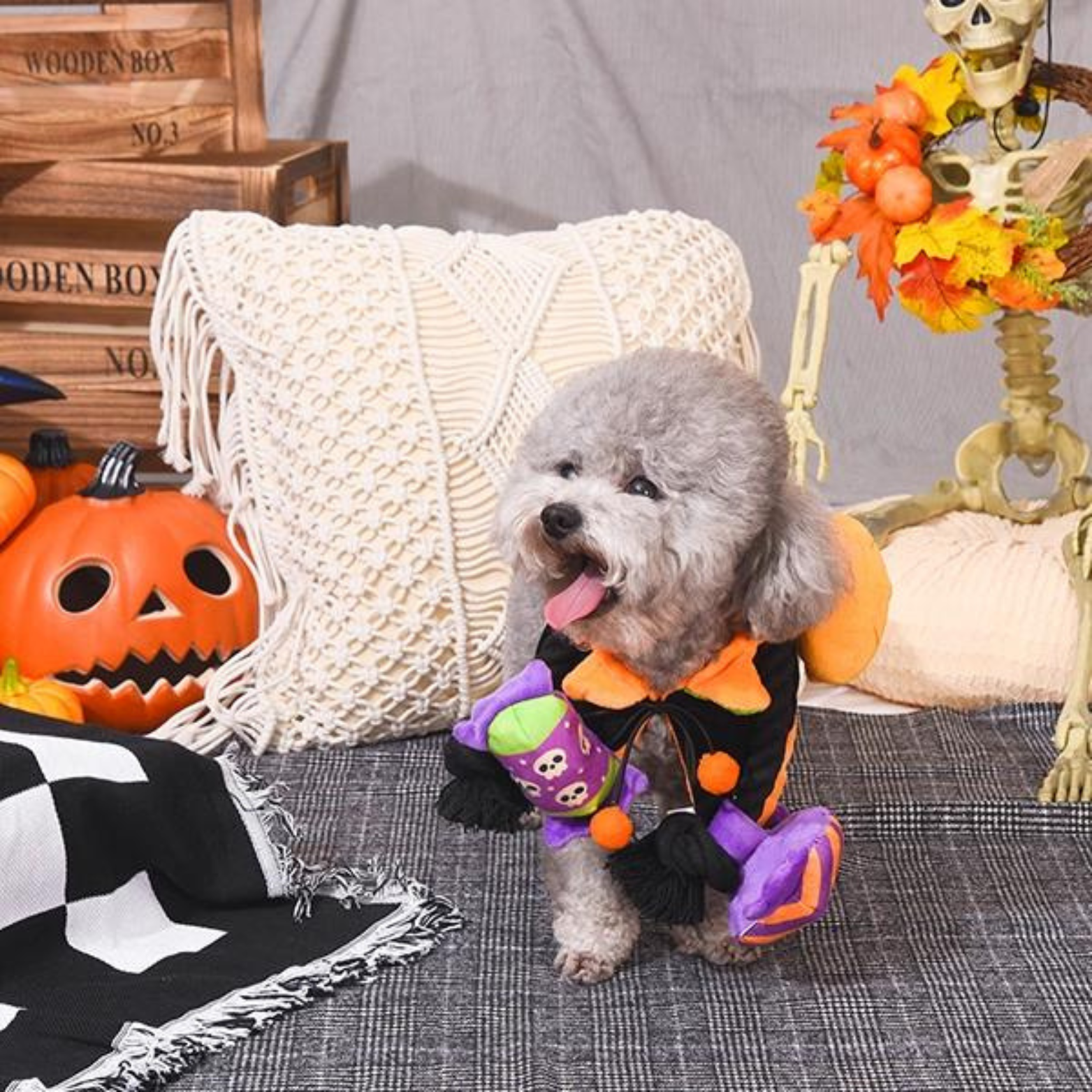 Hugsmart Pet Howloween Night Howloween Candy Rope Toy