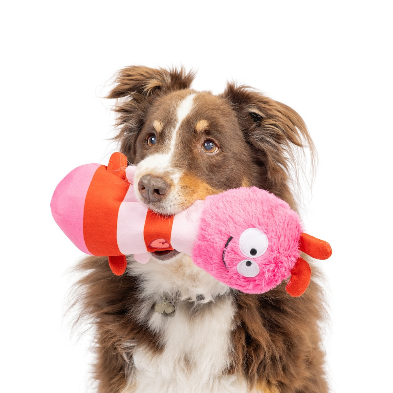 Huxley & Kent Valentine's Fetchies Love Bug Dog Toy