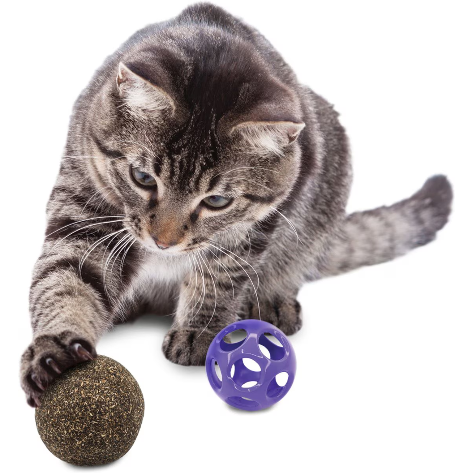 KONG Blissy Moon Ball Cat Toy with Catnip, Purple