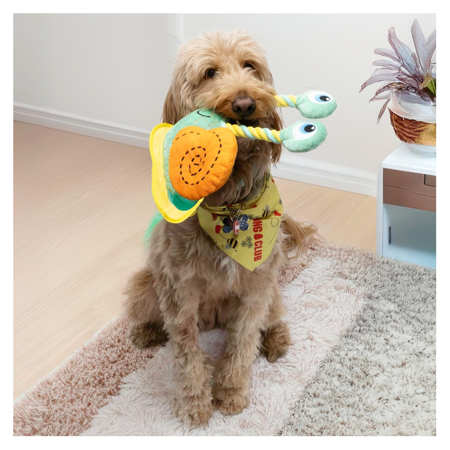 Medium-sized tan dog sitting indoors on a rug while holding a green and orange KONG Bendeez snail dog toy in its mouth, with the toy’s rope eyestalks extending outward.