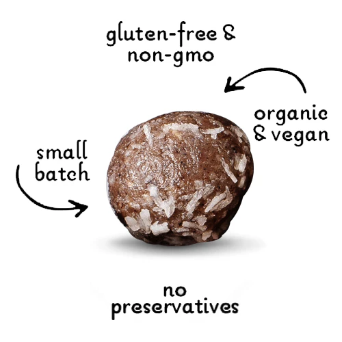 Lord Jameson Hanukkah Gelt Organic Soft & Chewy Dog Treats 6 oz