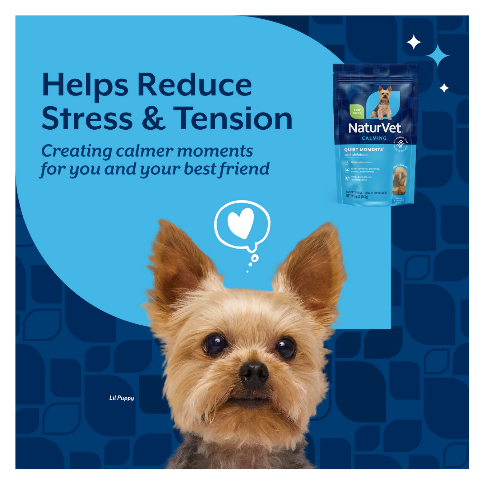 Graphic with a small terrier dog centered on a blue background and text stating the supplement helps reduce stress and tension, creating calmer moments for pets.