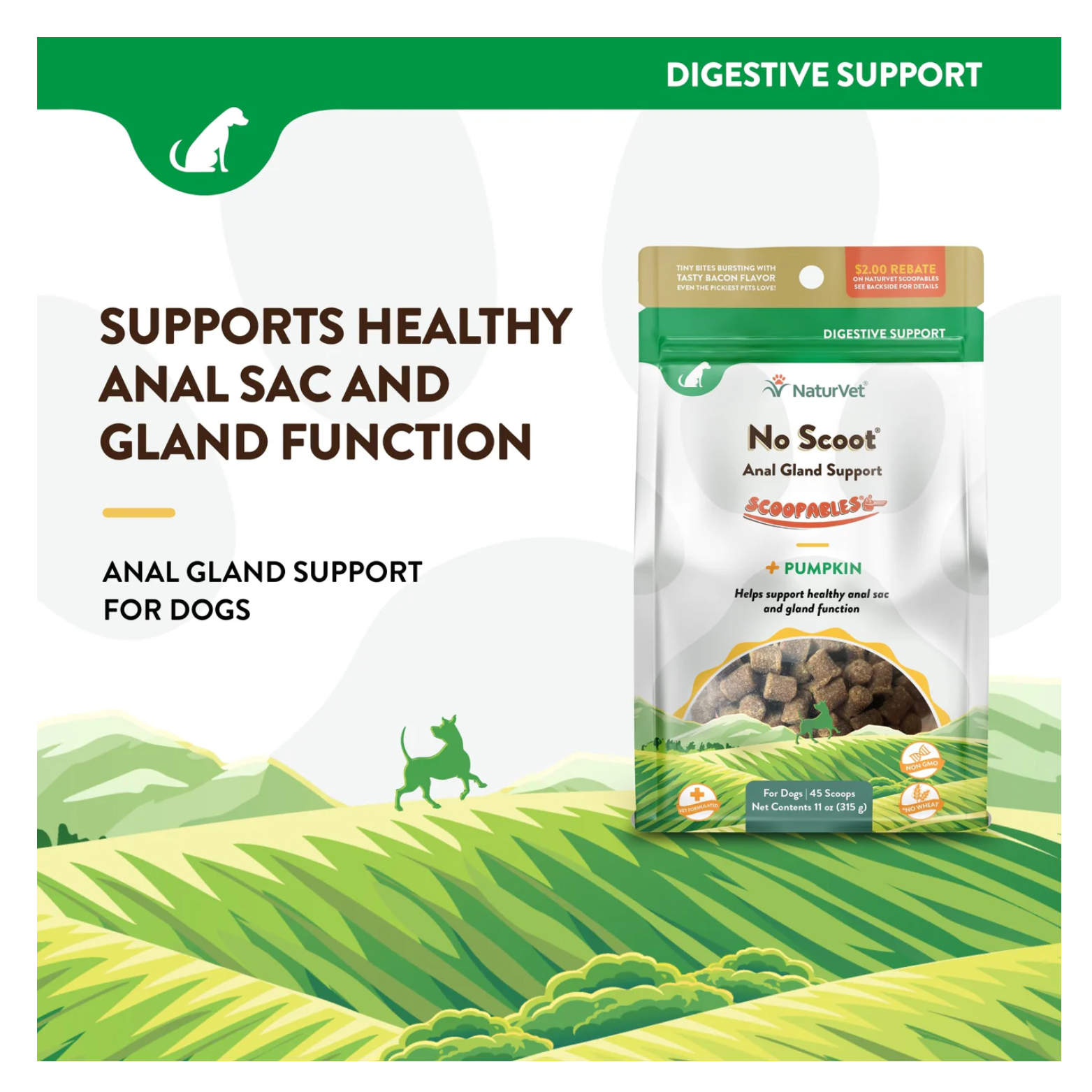 Informational graphic stating “Supports Healthy Anal Sac and Gland Function,” featuring the No Scoot Scoopables pouch on the right and a green illustrated landscape background.