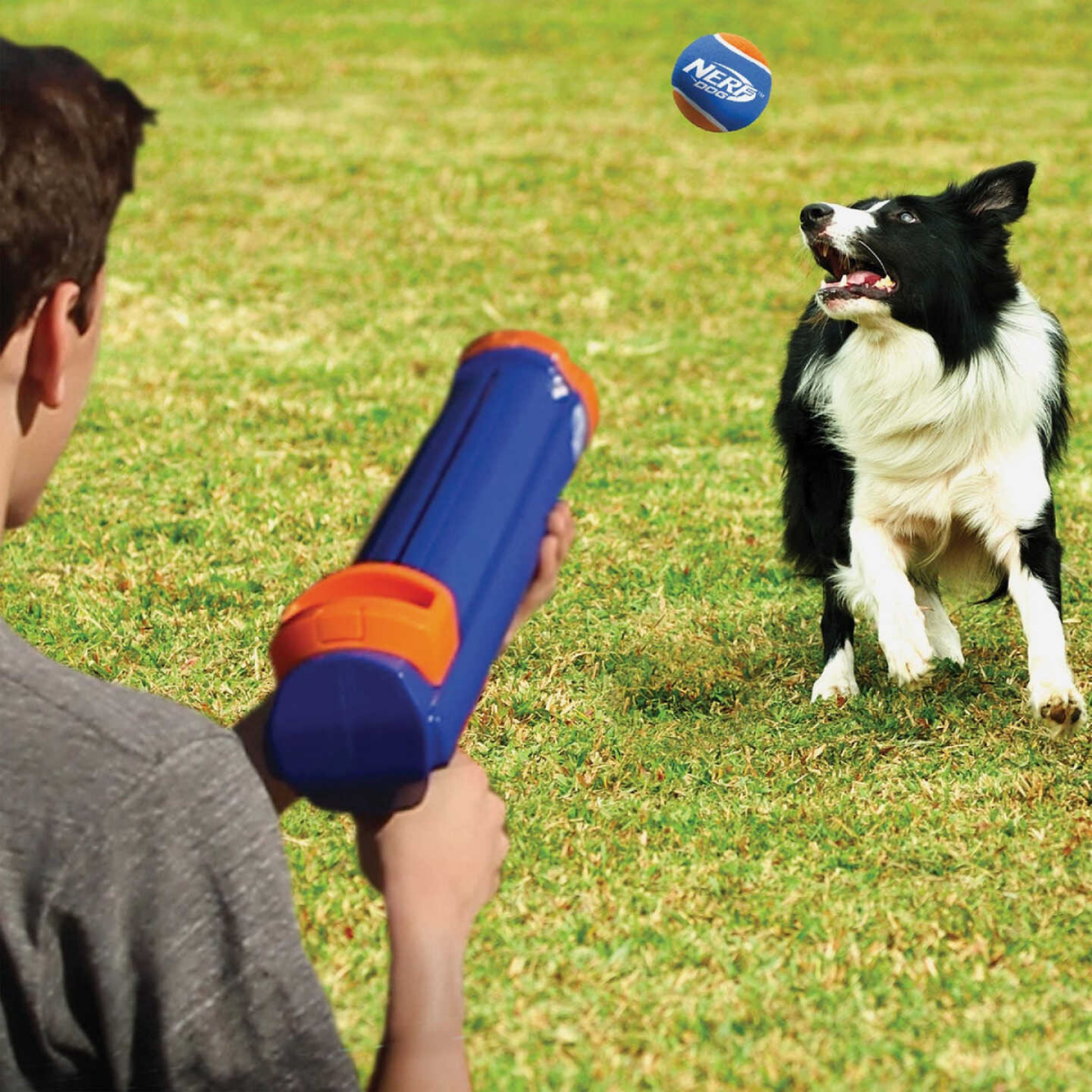 Nerf Dog 16" Blaster Dog Toy with Ball Clip