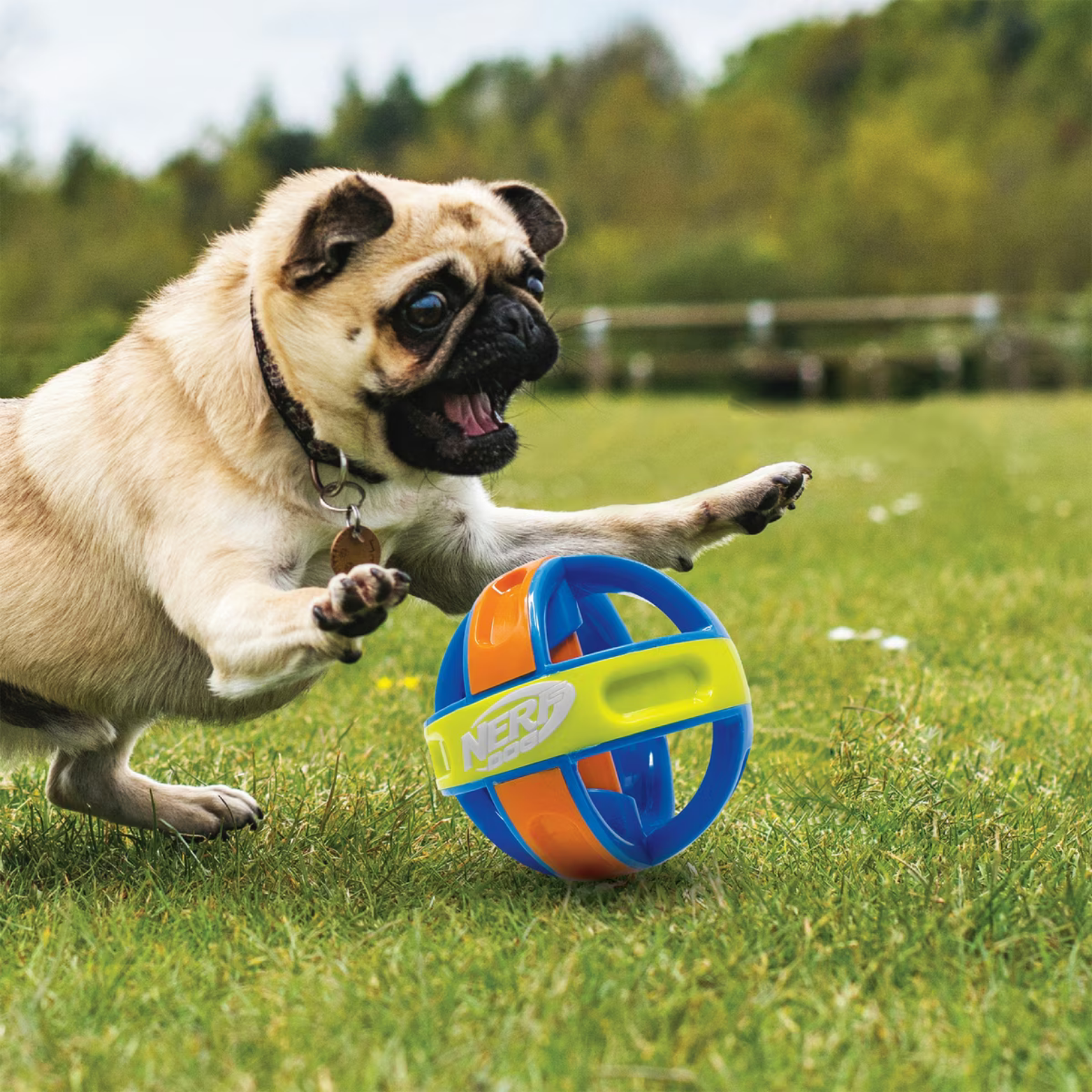 Nerf Dog Giggle Ball Game & Puzzle Dog Toy, Blue/Green/Orange, 5-in