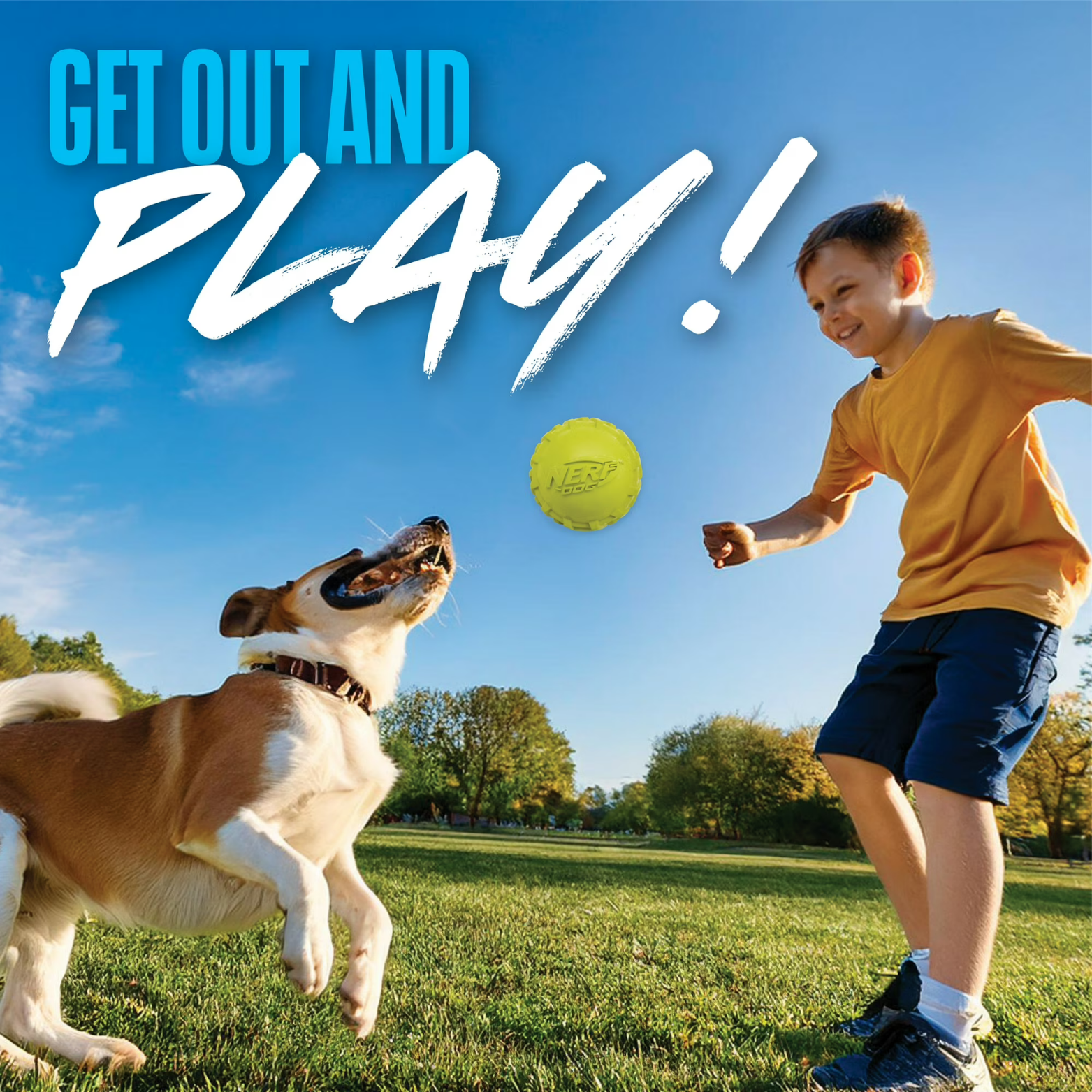 Nerf Dog Tire Squeak Ball Fetch Toy, Green, 3"