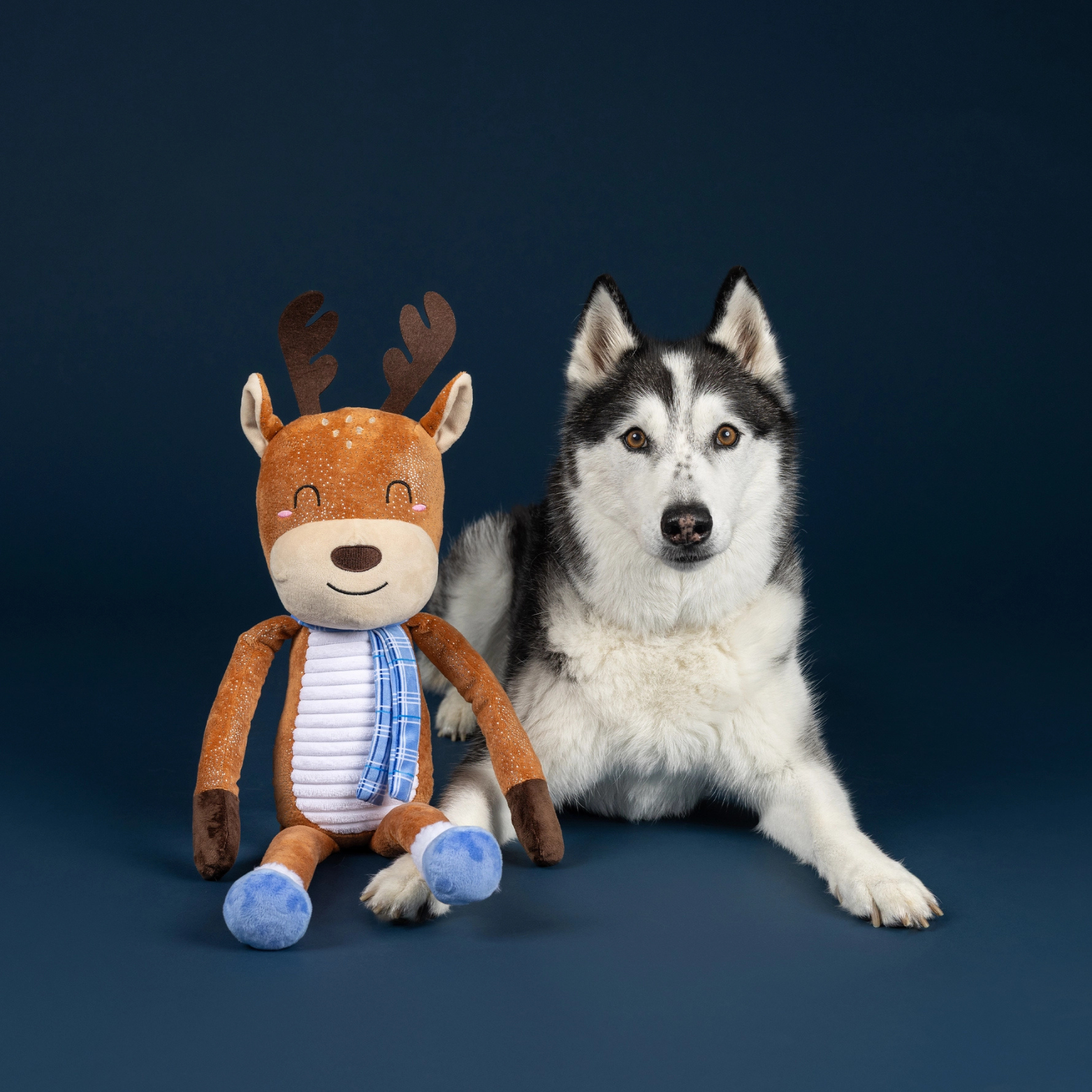 Pet Shop by Fringe Studio Dashin' Around Plush Dog Toy, Large