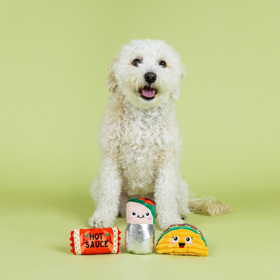 Pet Shop by Fringe Studio I Got the Hot For You Plush Small Dog Toy 3pk