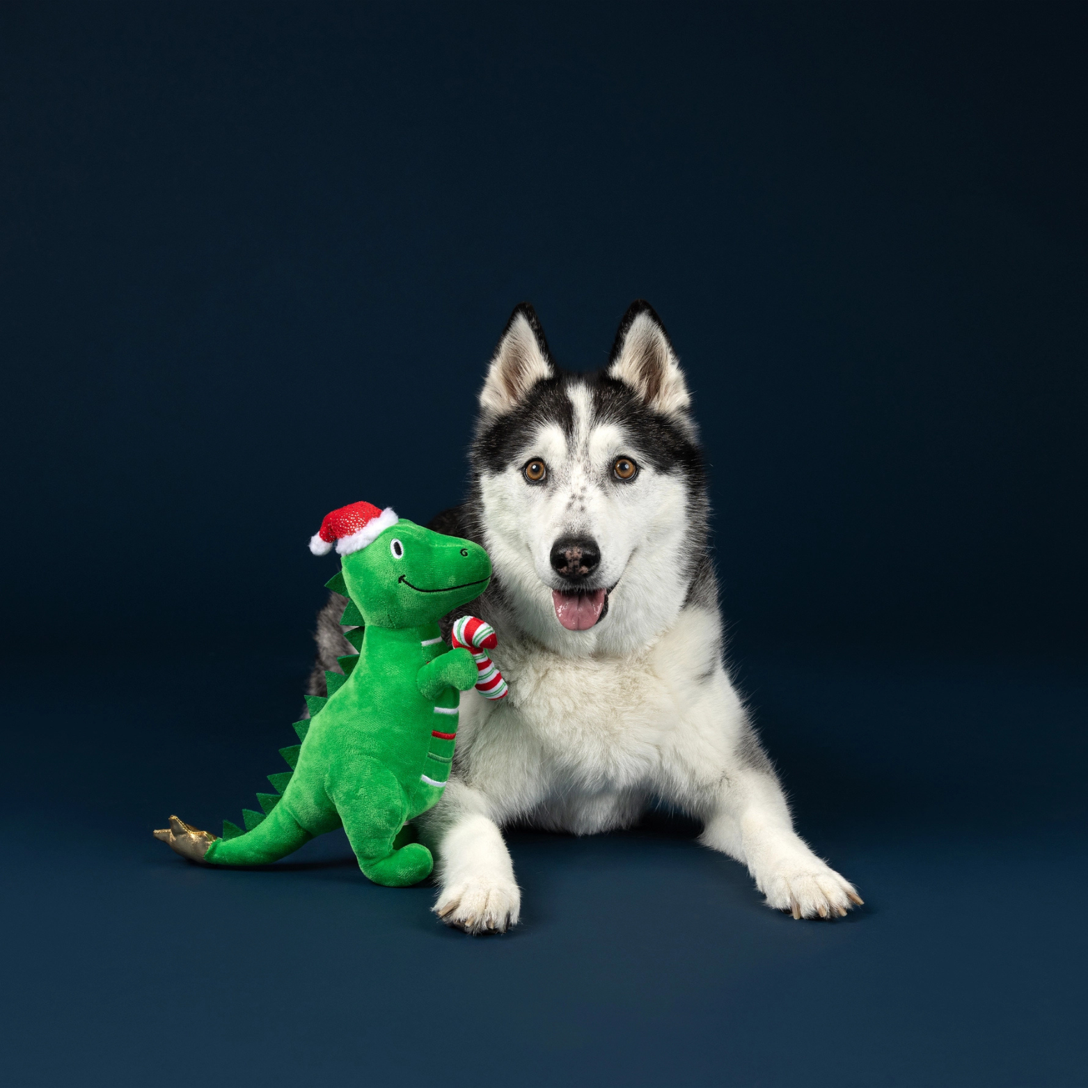 Pet Shop by Fringe Studio Rex-Mas Is Here! Plush Dog Toy