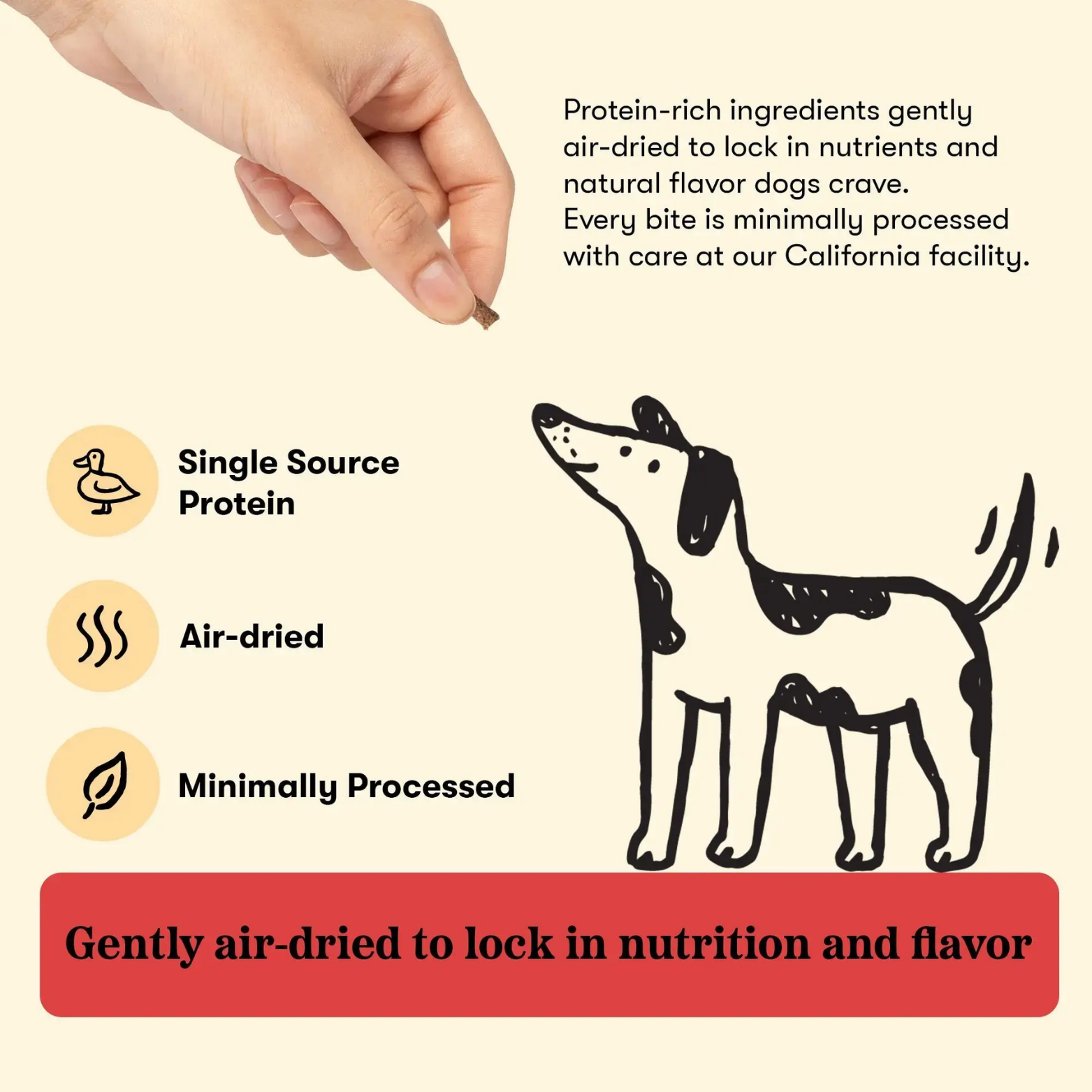 Plato Air Dried Duck Training Bites 6oz