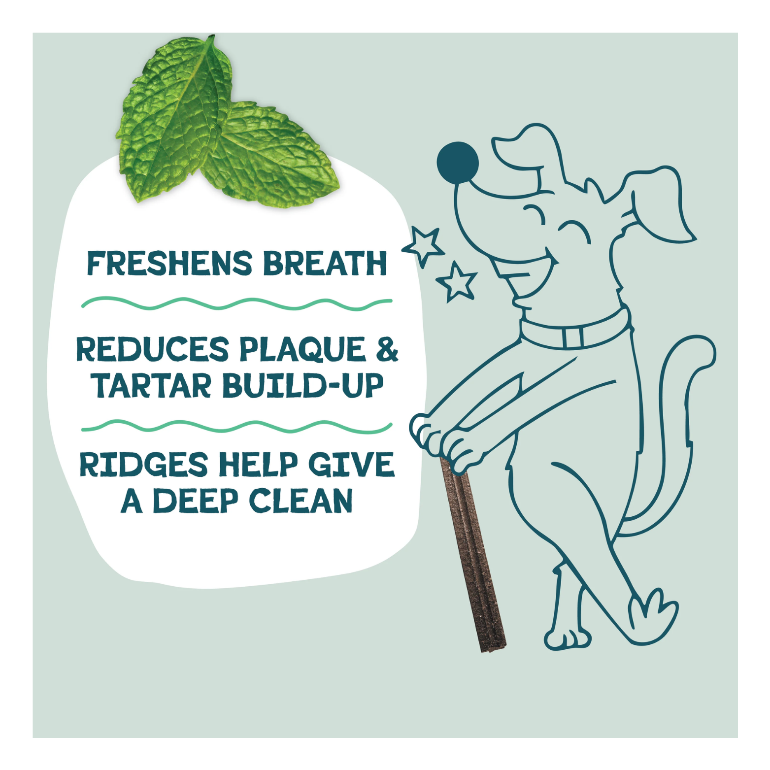 Illustration of a smiling cartoon dog holding a dental stick beside text stating “Freshens breath,” “Reduces plaque and tartar build-up,” and “Ridges help give a deep clean,” with mint leaves shown above.