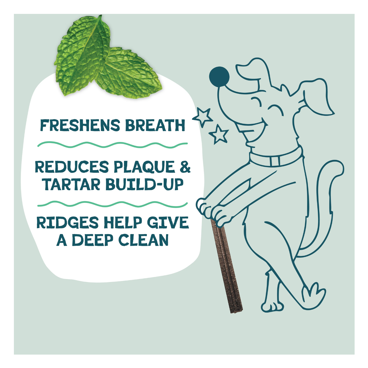 Illustration of a smiling cartoon dog holding a dental stick next to text stating “Freshens breath,” “Reduces plaque and tartar build-up,” and “Ridges help give a deep clean,” with mint leaves shown above.