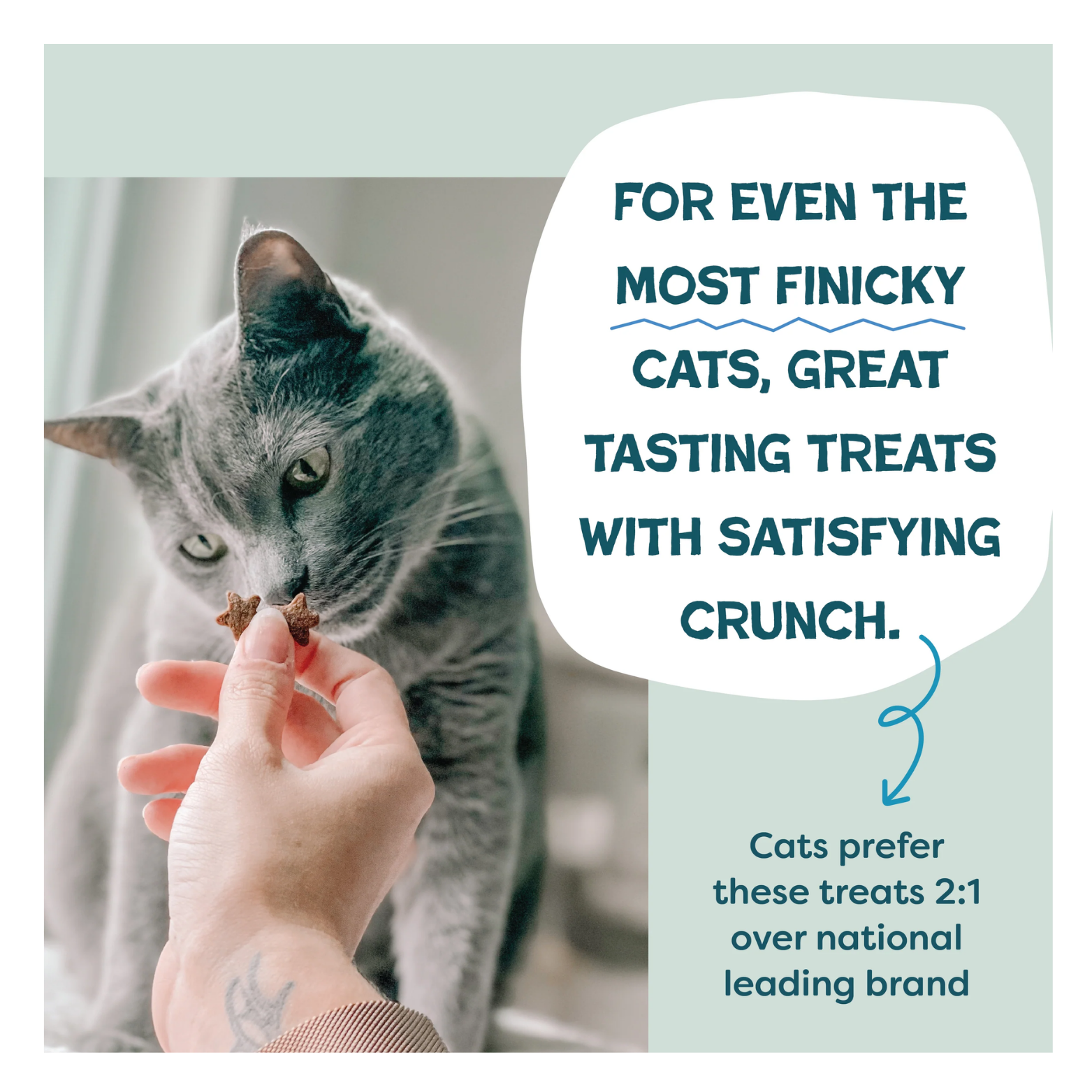 Gray cat sniffing a star-shaped treat held by a person’s hand. Text reads, “For even the most finicky cats, great tasting treats with satisfying crunch,” with a note that cats prefer these treats 2:1 over a national leading brand.