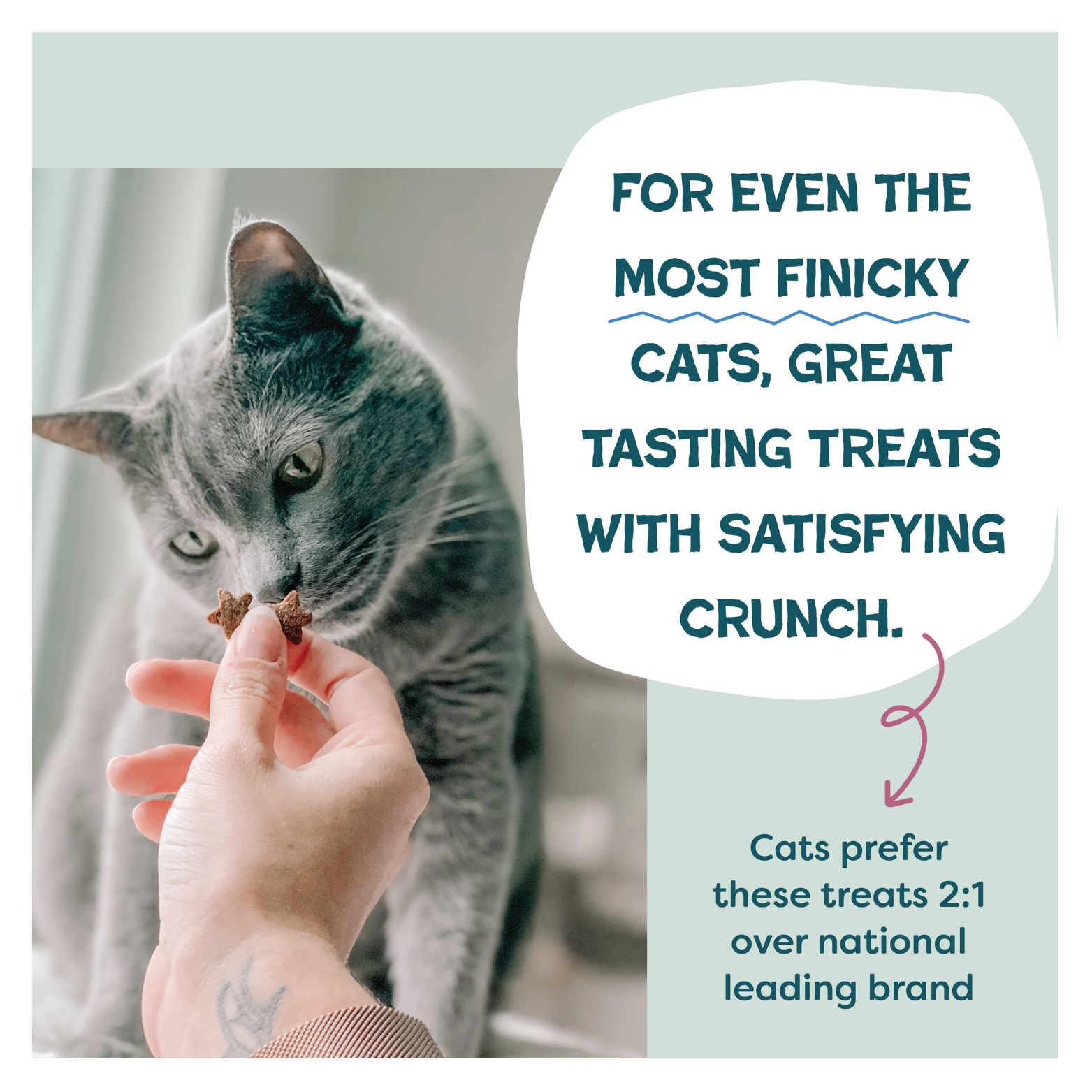 A gray cat sniffing a star-shaped treat held by a person’s hand. Text reads, “For even the most finicky cats, great tasting treats with satisfying crunch,” and notes cats prefer these treats two to one over a national leading brand.