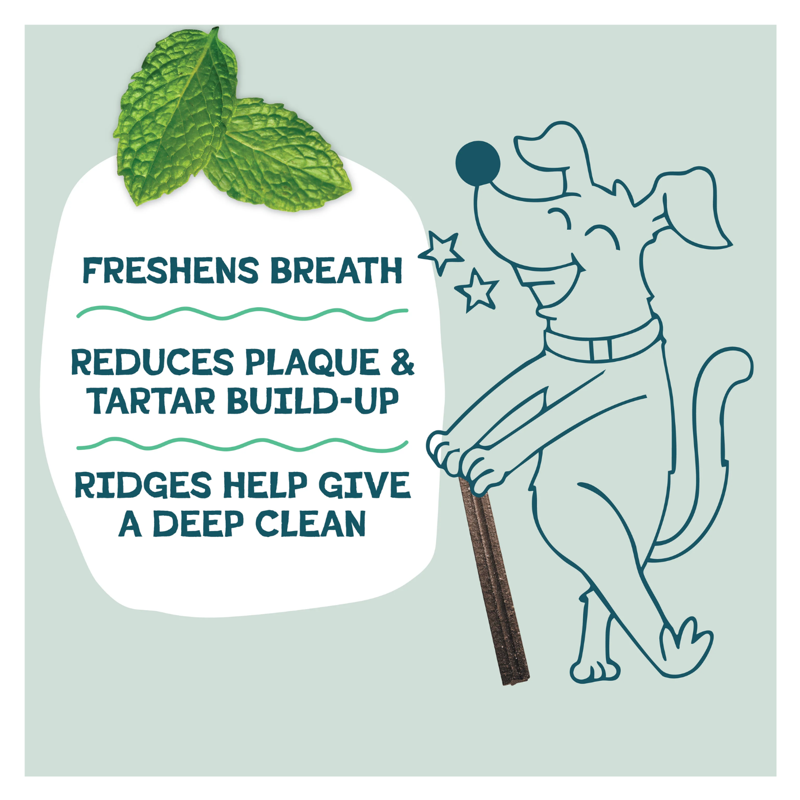 Illustrated panel showing a smiling cartoon dog holding a dental stick next to text stating “Freshens breath,” “Reduces plaque & tartar build-up,” and “Ridges help give a deep clean,” with mint leaves above the text.
