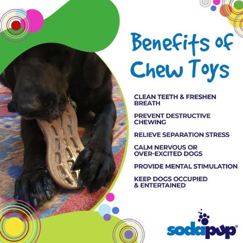 SodaPup Peanut eChew Durable Nylon Dog Chew and Enrichment Toy