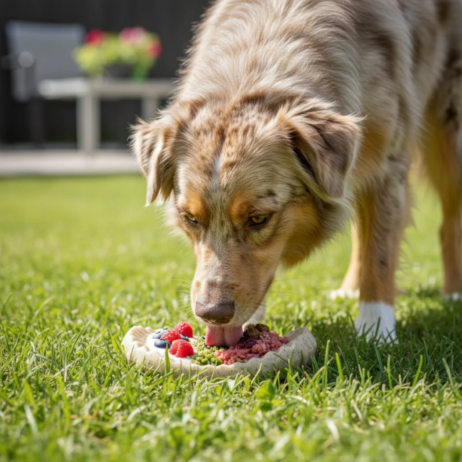 SodaPup Potato Chip Ultra Durable Nylon Dog Chew Toy
