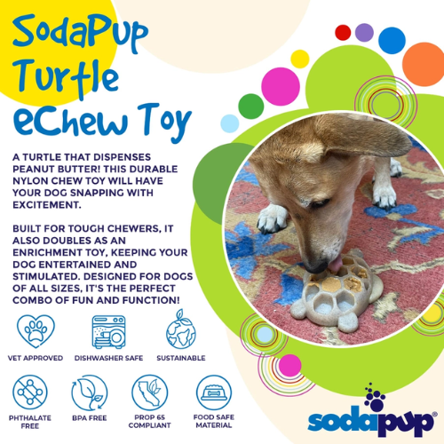 SodaPup Turtle eChew Durable Nylon Dog Chew and Enrichment Toy