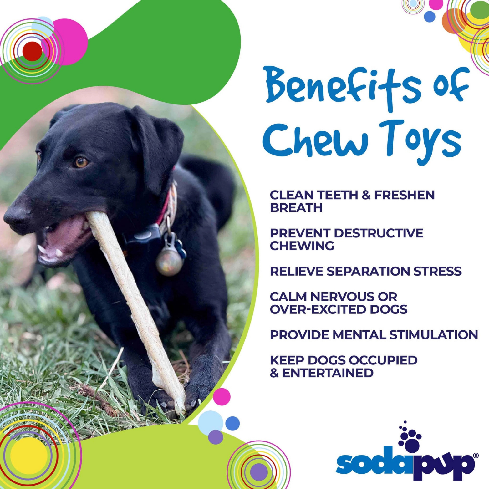 SodaPup Ultra Durable Nylon Dog Chew Stick, Glow In the Dark
