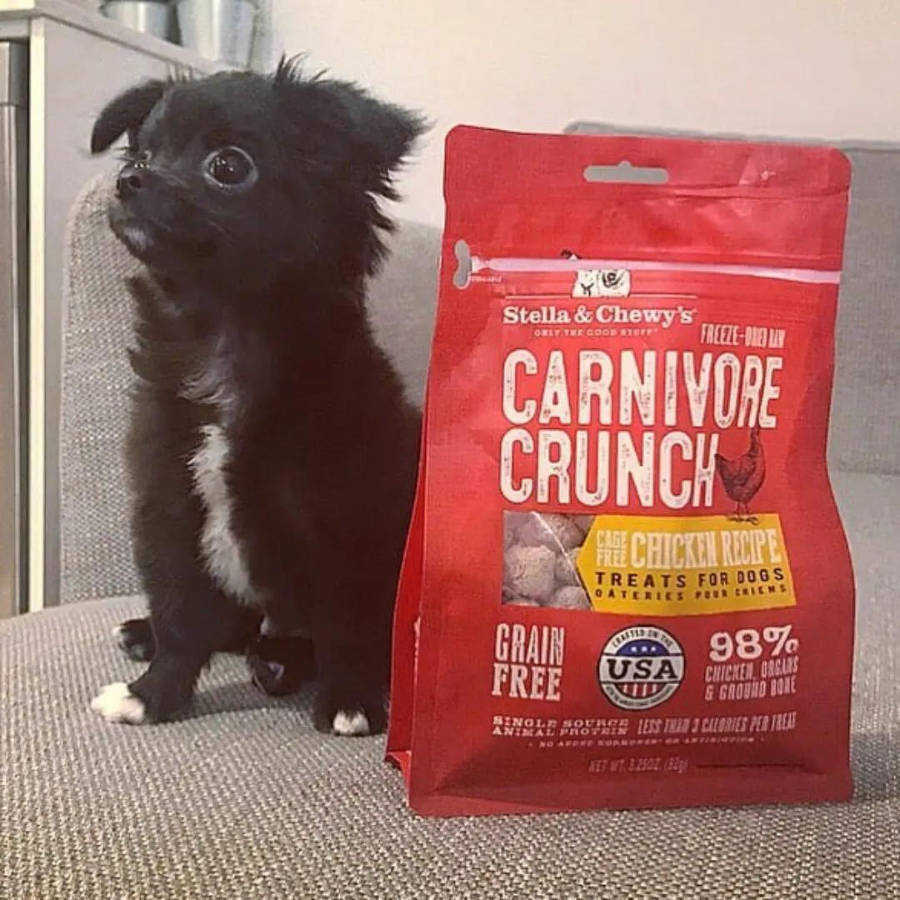 Stella & Chewy's Carnivore Crunch Cage-Free Chicken Recipe Freeze-Dried Dog Treats 3.25 oz