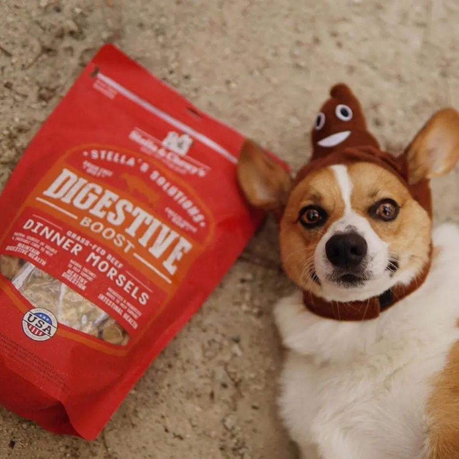 Stella & Chewy's Stella's Solutions Digestive Boost Grass-Fed Beef - Mutts & Co.