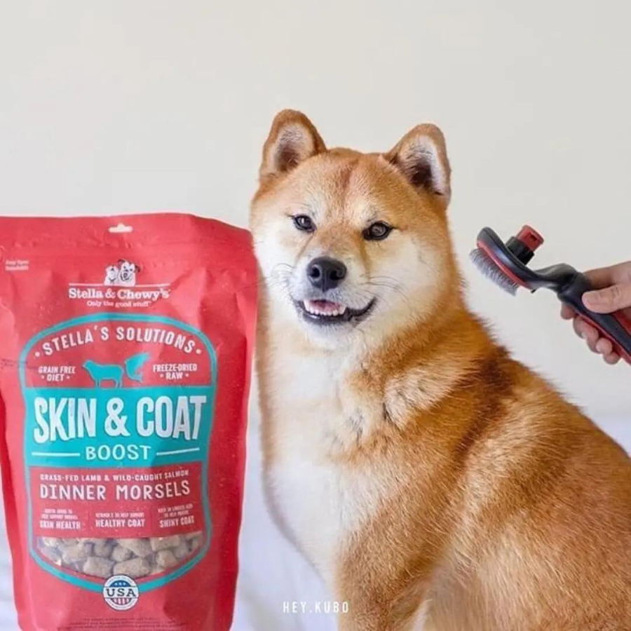 Stella & Chewy's Stella's Solutions Skin & Coat Boost Grass-Fed Lamb & Wild Caught Salmon - Mutts & Co.