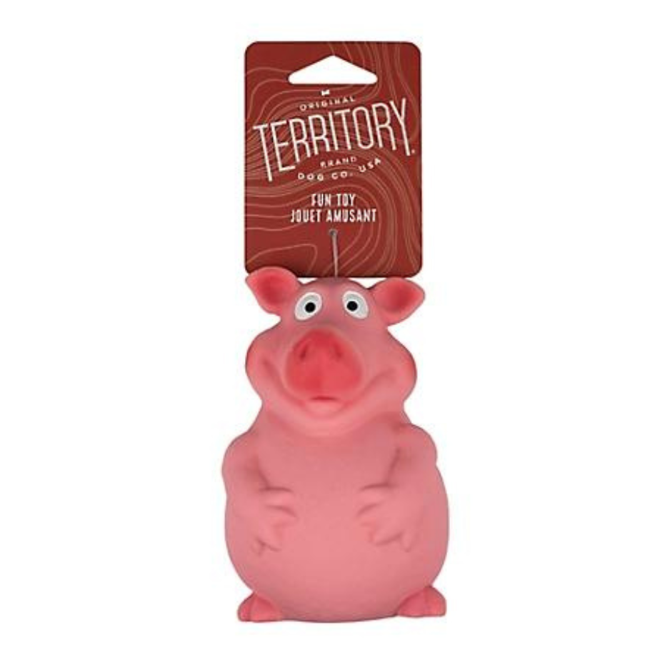 Territory Latex Pig Squeaker Dog Toy