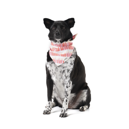 The Paws Wish Dog Bandana Pink