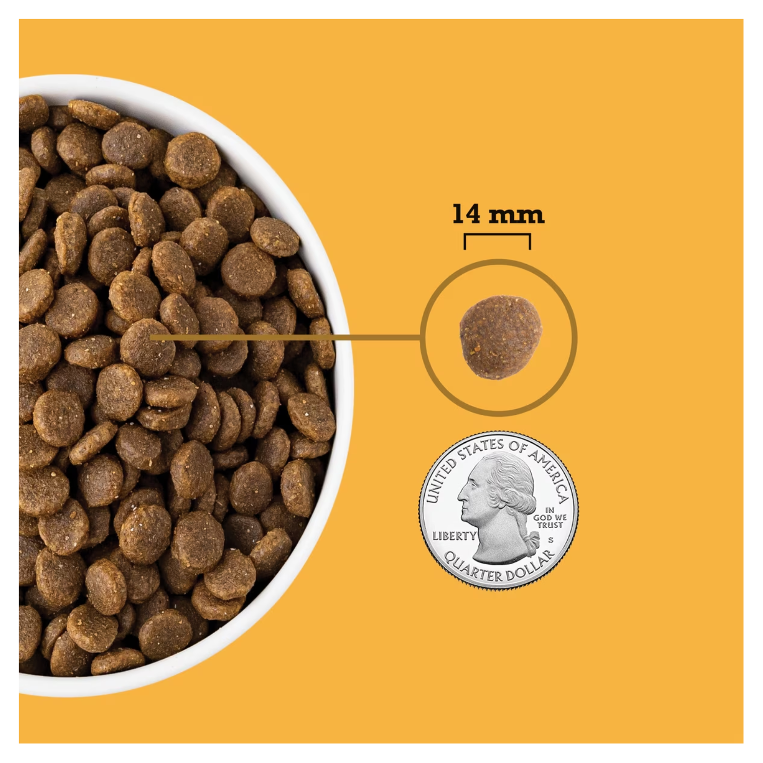 Close-up of brown dog kibble in a white bowl with a single kibble highlighted and labeled “14 mm,” shown next to a U.S. quarter coin for size reference.