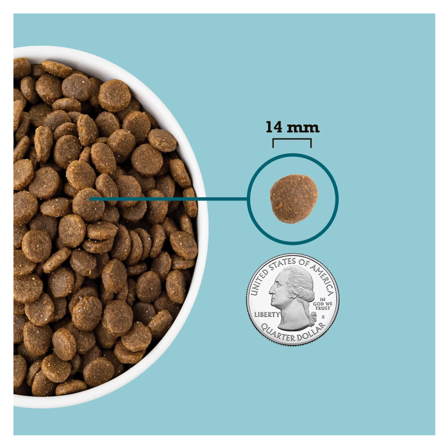 Close-up of brown dog kibble in a white bowl on a blue background, with a single kibble highlighted and labeled “14 mm,” shown next to a U.S. quarter coin for size reference.