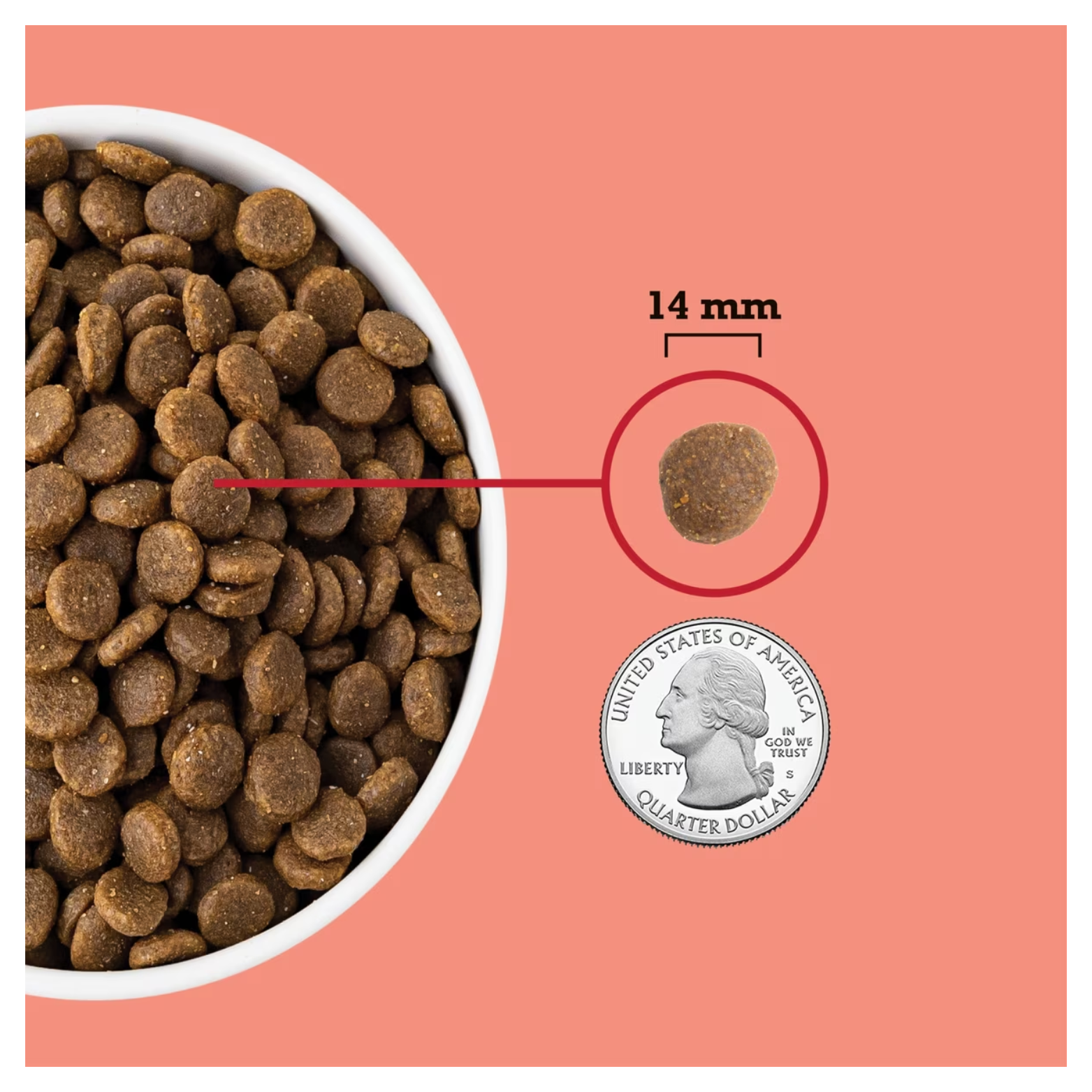 Close-up of brown dog kibble in a white bowl on a pink background, with a single kibble highlighted and labeled “14 mm,” shown next to a U.S. quarter for size comparison.