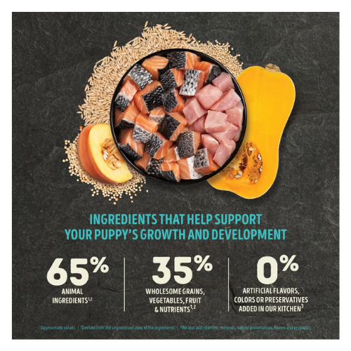 Bowl of raw salmon and meat pieces surrounded by grains and sliced pumpkin, with text stating ‘Ingredients that help support your puppy’s growth and development’ and percentages showing 65% animal ingredients, 35% wholesome grains, vegetables, fruit, and nutrients, and 0% artificial flavors, colors, or preservatives.