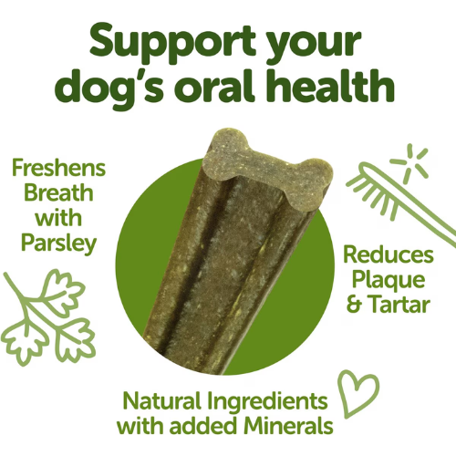Whimzees Freshzees Dental Chews Natural Dental Dog Treats