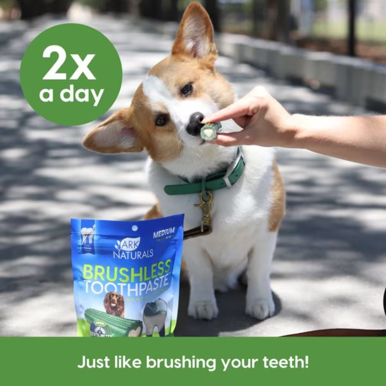 Ark Naturals Brushless Toothpaste Medium Dental Dog Treats, 18-oz