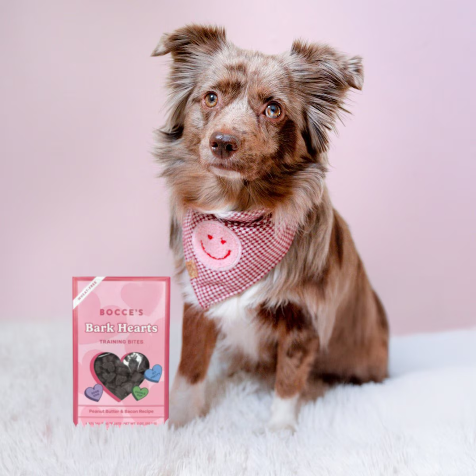 Bocce's Bakery Valentine's Day Training Bites Bark Hearts Dog Treats, 2 oz