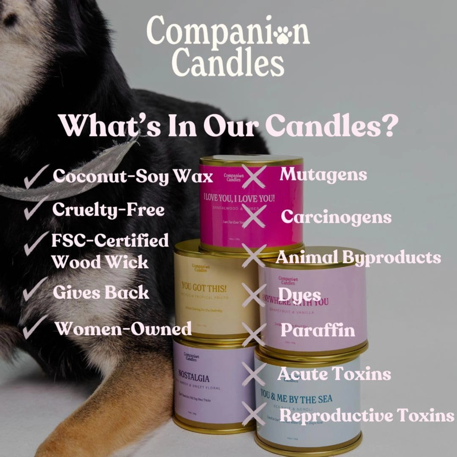 Companion Candles Pet-Safe Soy Candle Sea Salt & Neroli