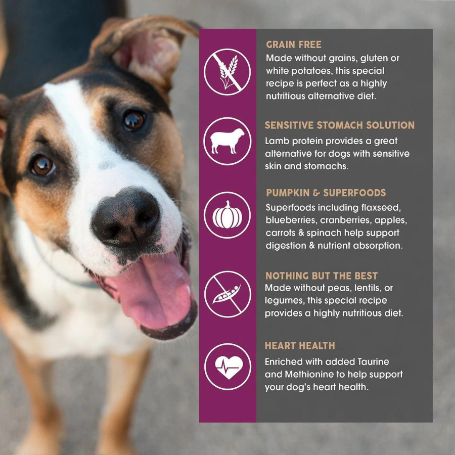 Grain free dog food without peas and lentils deals