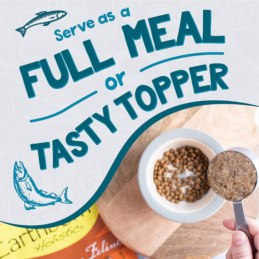 Earthborn holistic sales wet cat food