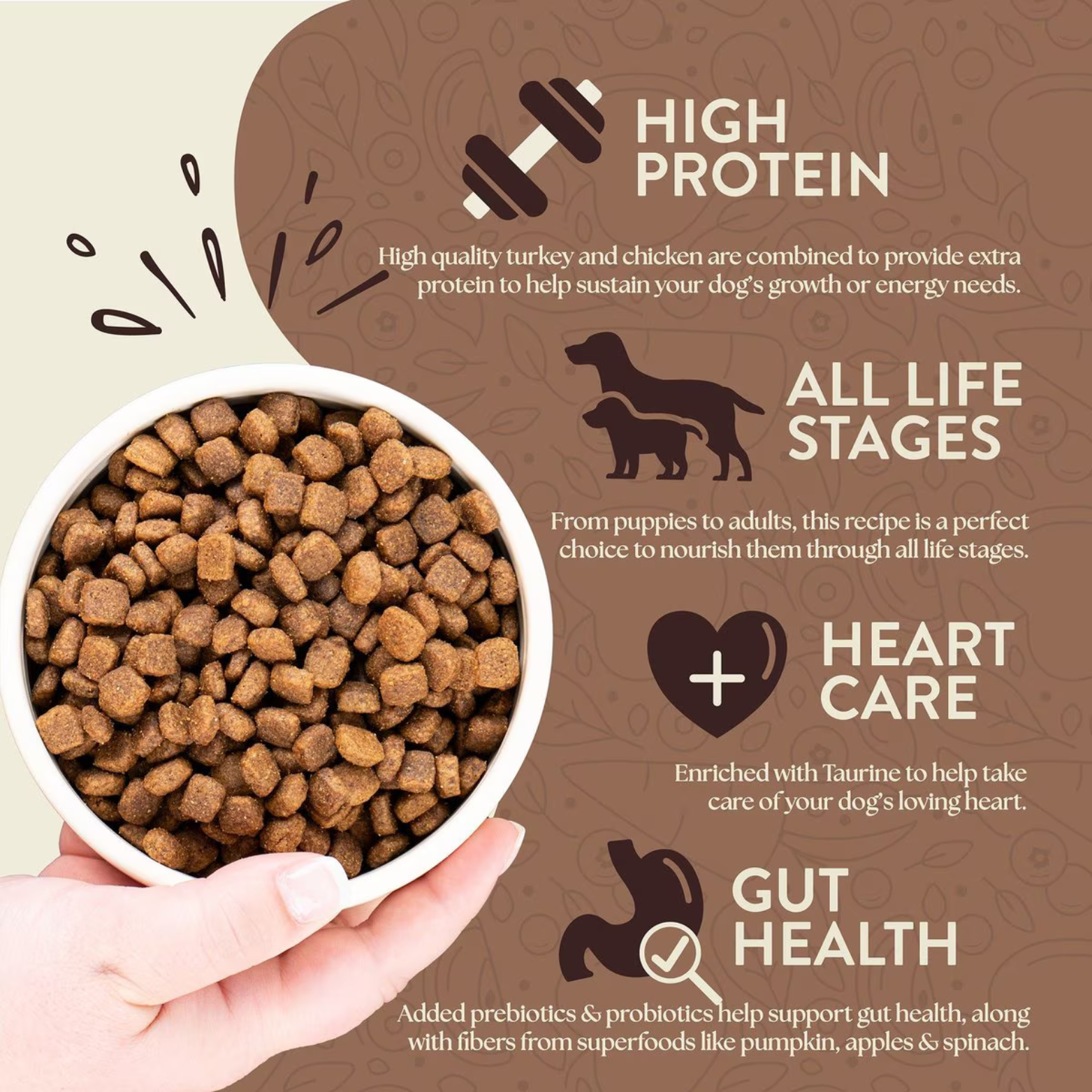 Earthborn Holistic Primitive Natural Grain-Free Natural Dry Dog Food