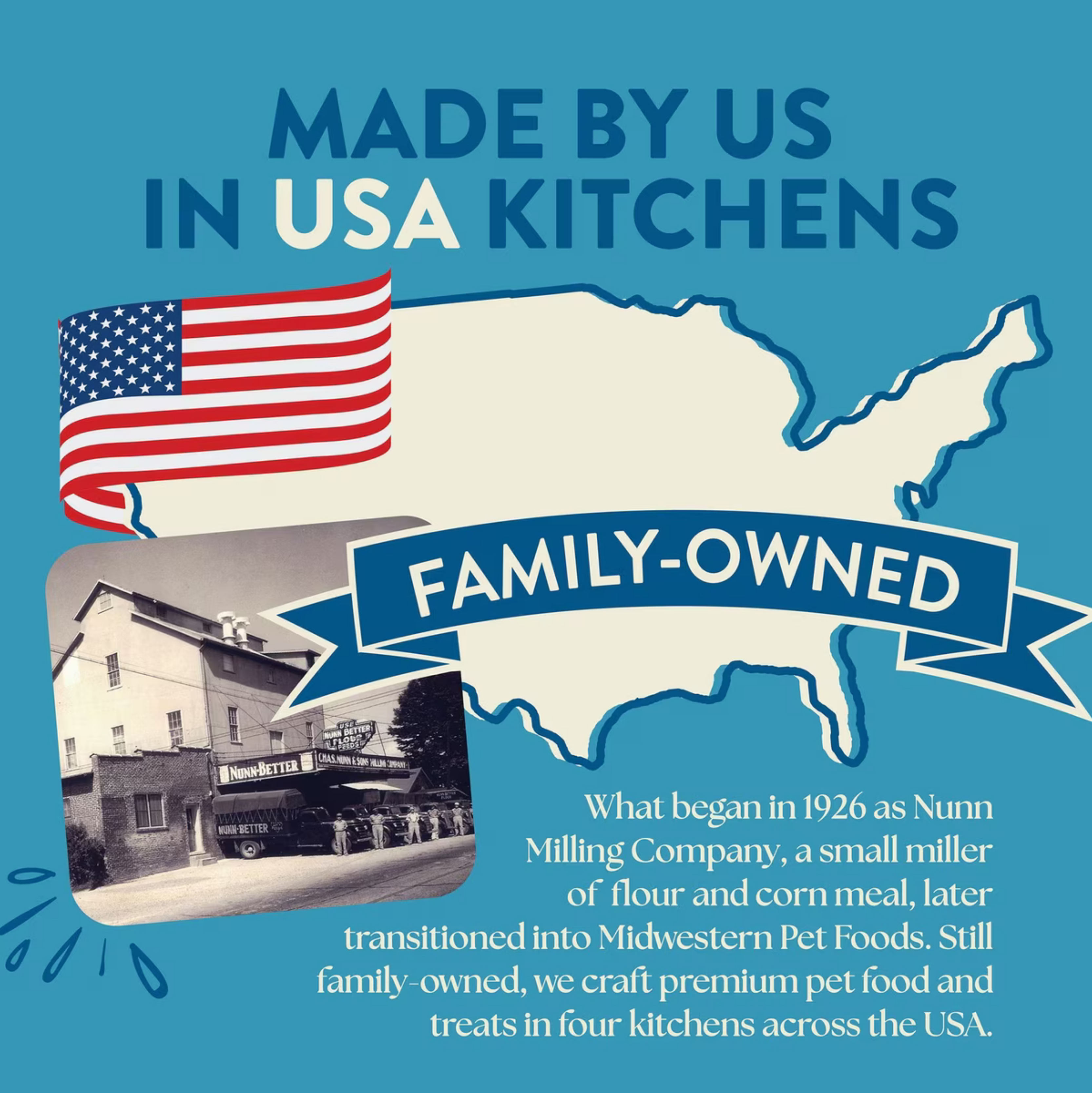 Earthborn Holistic Unrefined Smoked Salmon with Ancient Grains & Superfoods Dry Dog Food 4-lb