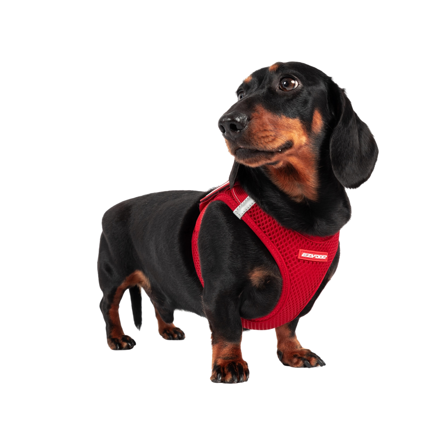 Ezydog Formfit Harness, Black