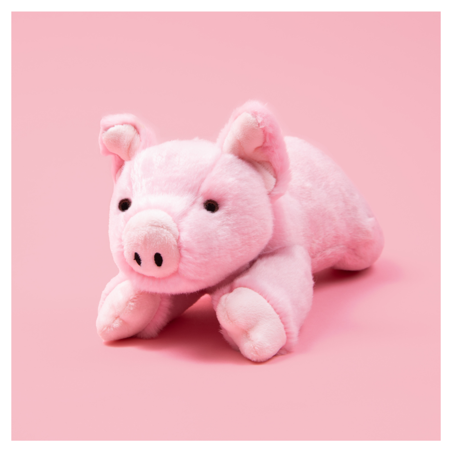 Pink plush pig dog toy on a pink background, facing forward with front legs extended and ears perked.