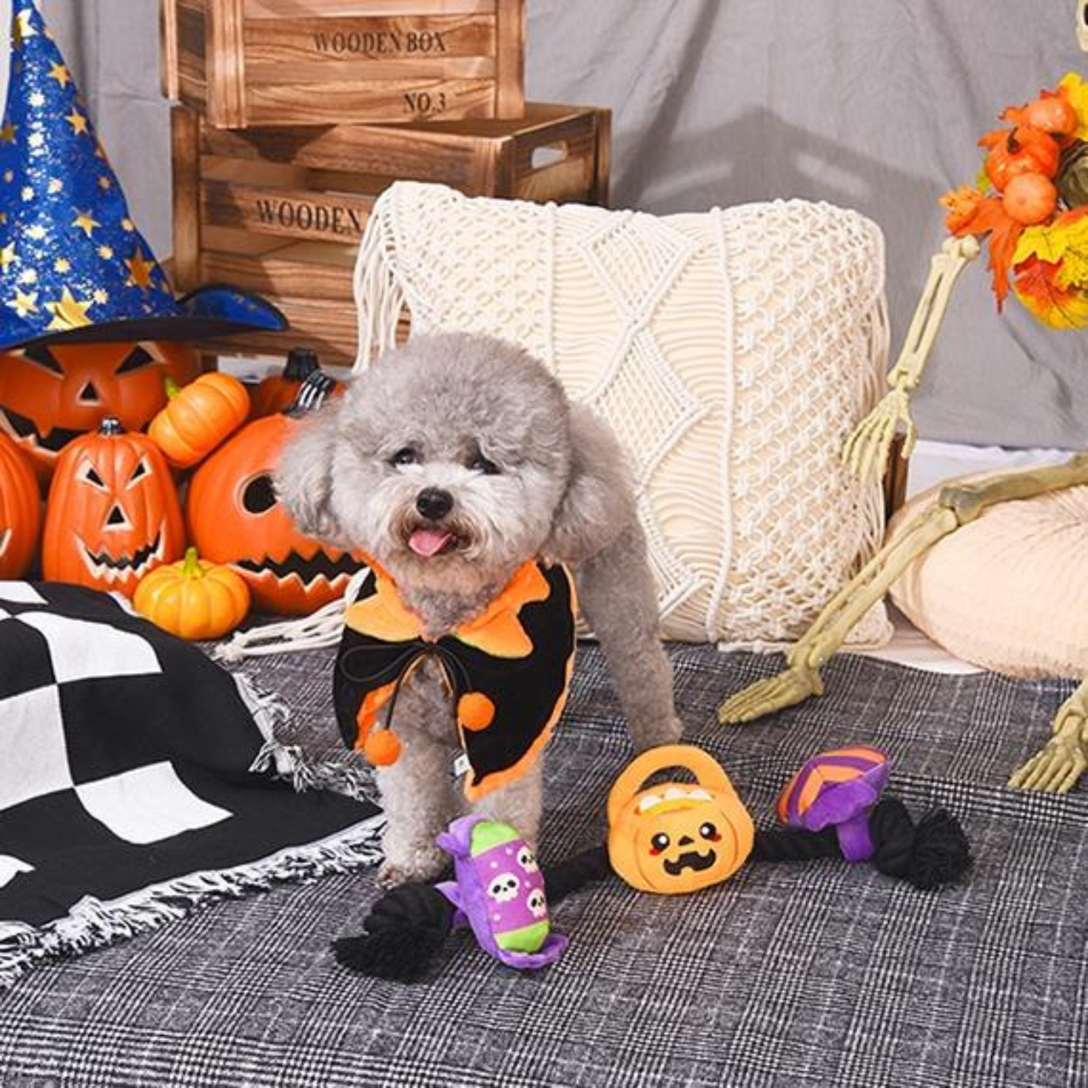 Hugsmart Pet Howloween Night Howloween Candy Rope Toy