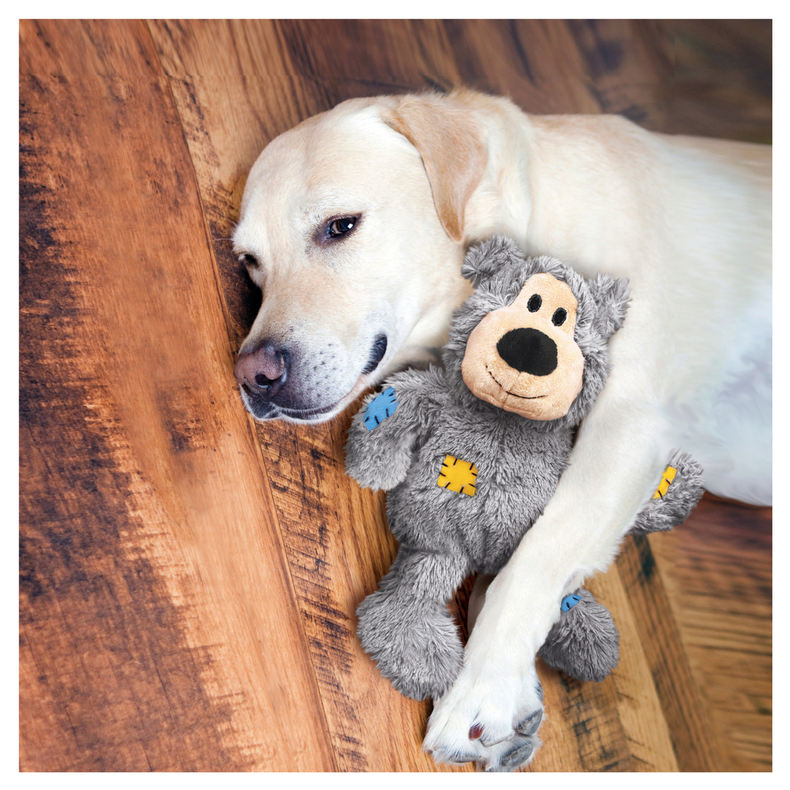 Yellow Labrador retriever lying on a wooden floor, cuddling a gray plush bear dog toy with yellow and blue patch details, appearing relaxed and content.