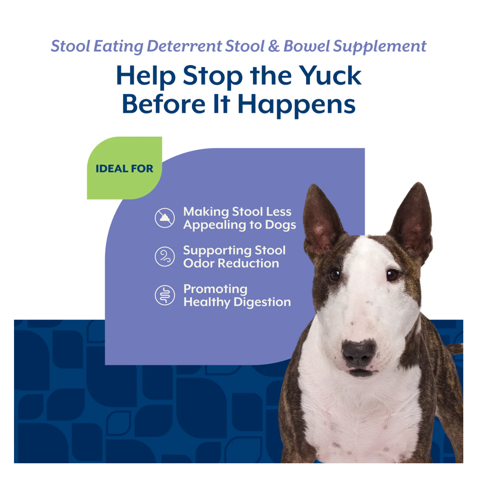 Bull Terrier next to text reading “Help Stop the Yuck Before It Happens,” with icons listing benefits: making stool less appealing, reducing stool odor, and promoting healthy digestion.