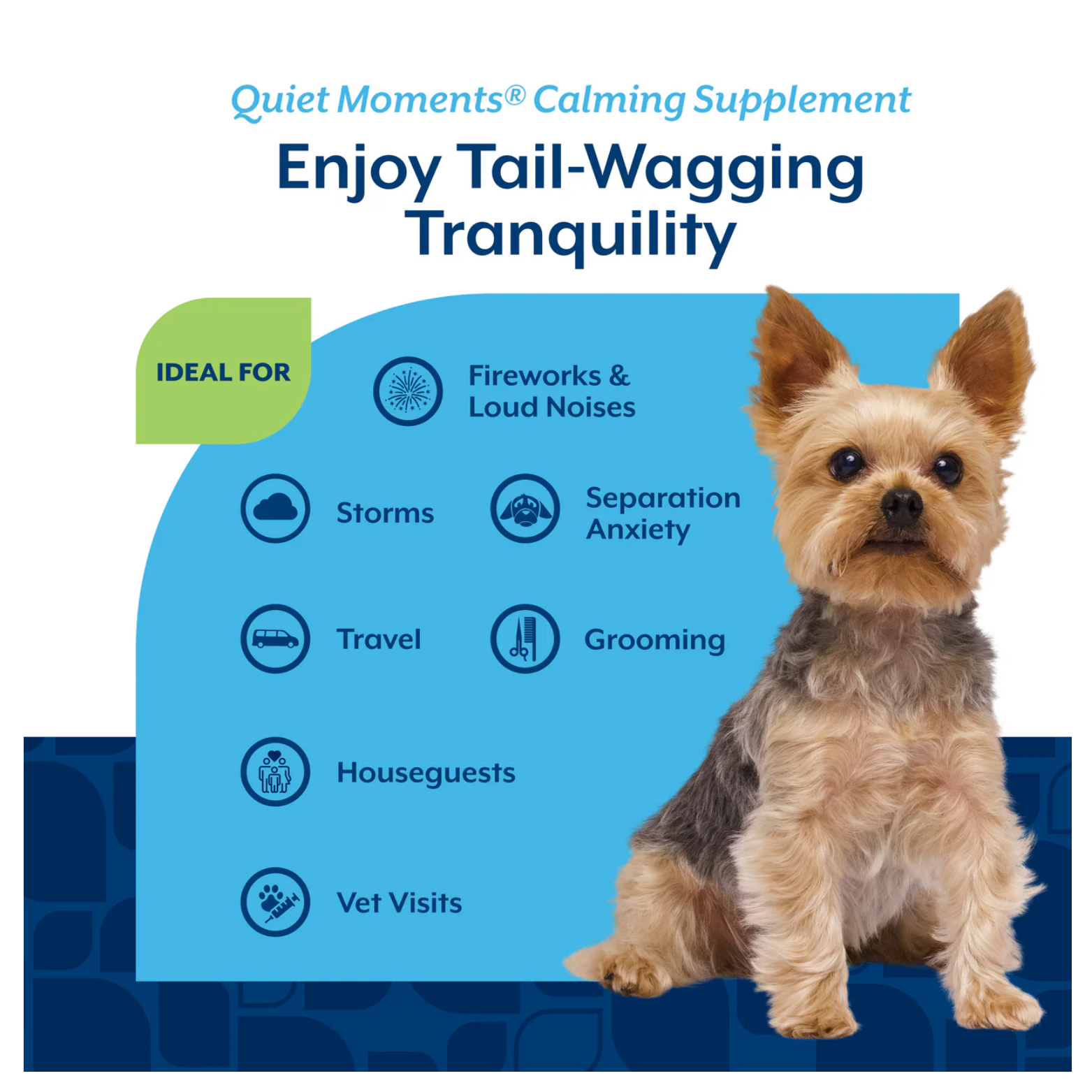 Informational graphic titled “Quiet Moments Calming Supplement – Enjoy Tail-Wagging Tranquility,” listing ideal uses such as fireworks and loud noises, storms, separation anxiety, travel, grooming, houseguests, and vet visits, with a seated small dog pictured.
