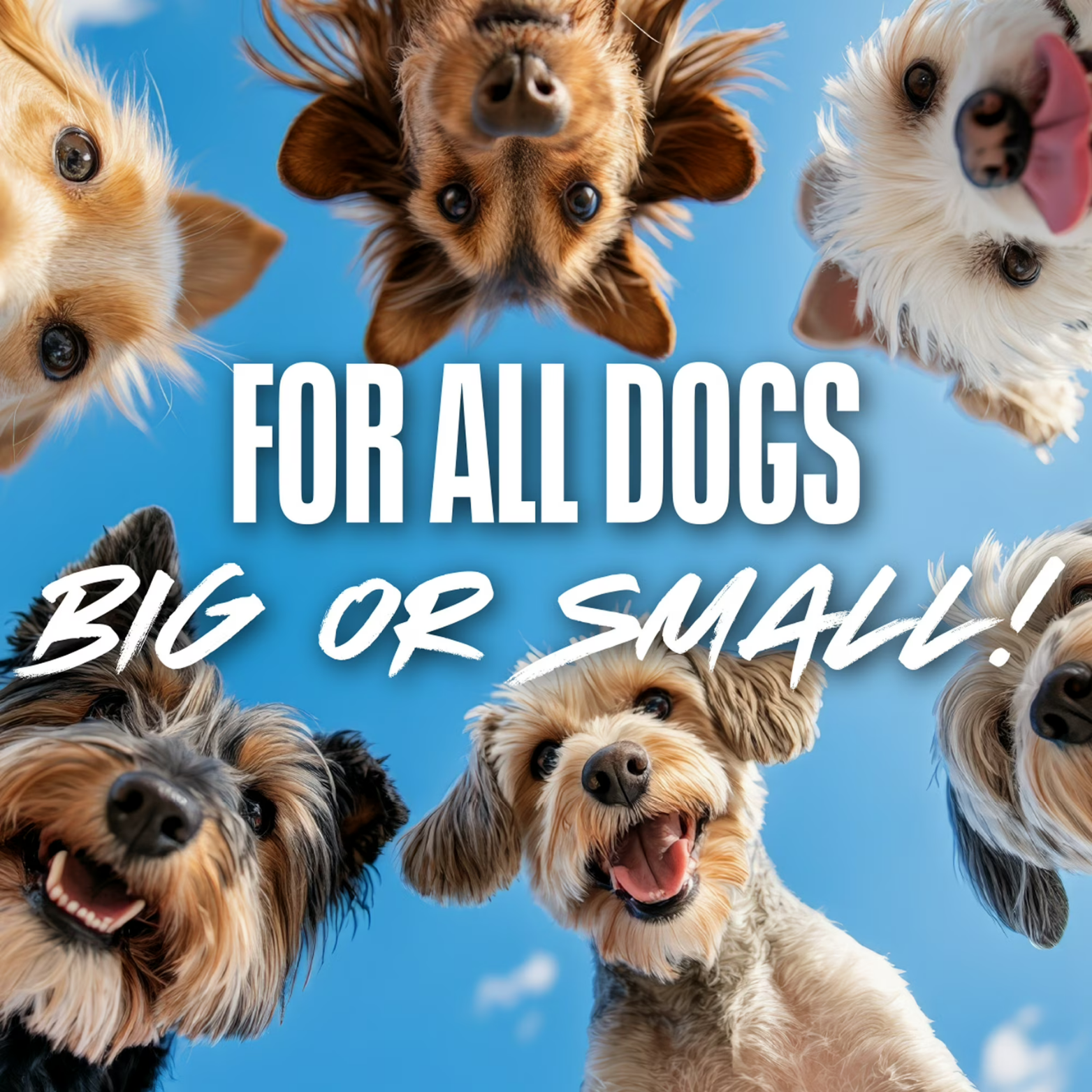 Nerf Dog Tire Squeak Ball Fetch Toy, Green, 3"