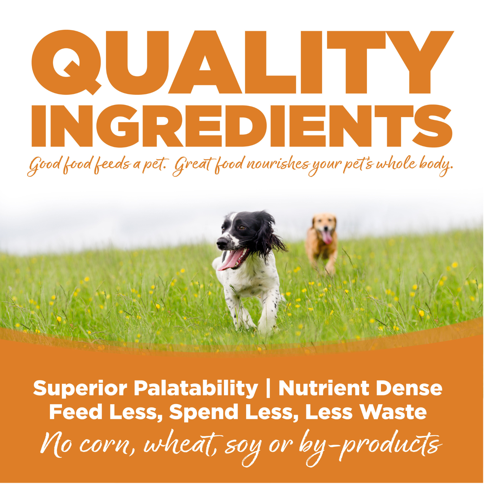 NutriSource Grain-Free Lamb Meal & Peas Formula Dry Dog Food