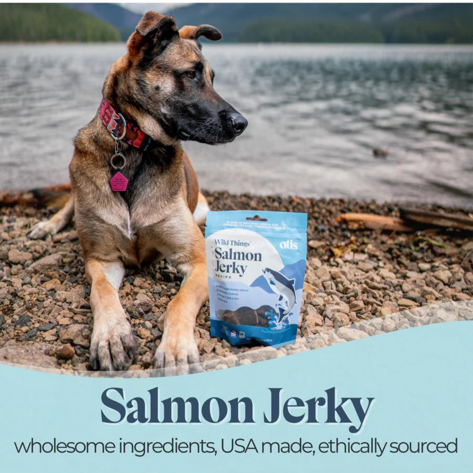 Otis Wild Things Salmon Recipe Jerky Dog Treats 4 oz