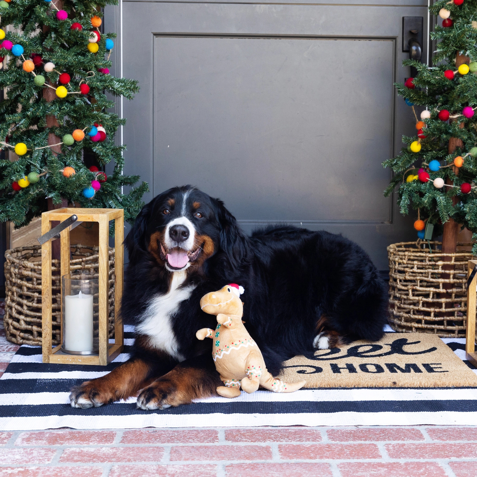 Pet Shop by Fringe Studio Cookie-Saurus Plush Dog Toy